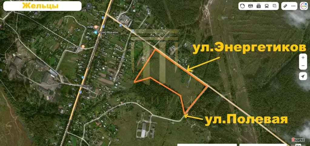 Участок в Ленинградская область, Лужский район, Толмачевское городское ... - Фото 2