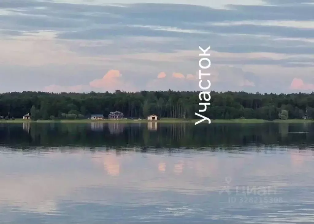 Участок в Новгородская область, Мошенской муниципальный округ, д. ... - Фото 1