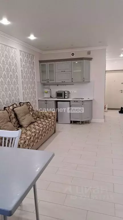 Студия Московская область, Ногинск Богородский городской округ, ул. ... - Фото 1