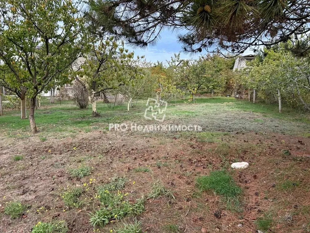 Участок в Севастополь Мрия садоводческое товарищество, 322 (4.1 сот.) - Фото 2