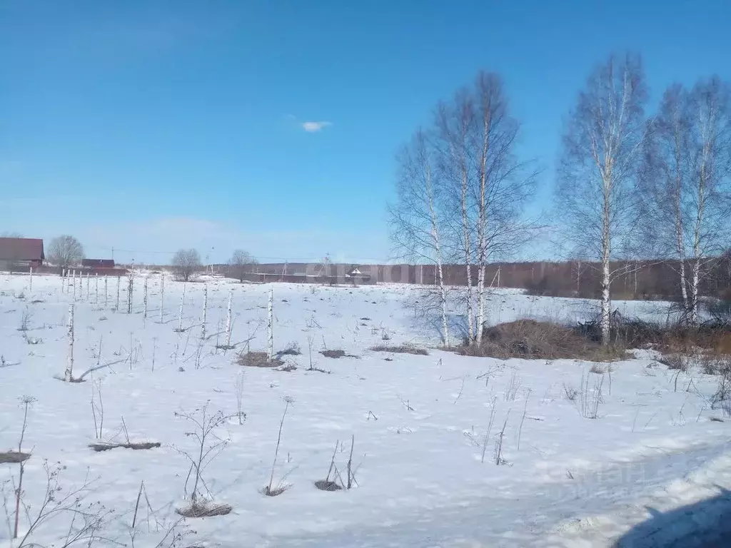 участок в нижегородская область, дальнеконстантиновский муниципальный . - Фото 0