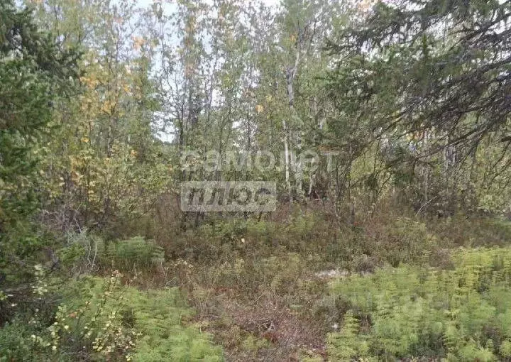 Участок в Ямало-Ненецкий АО, Салехард ул. Чубынина (6.0 сот.) - Фото 0