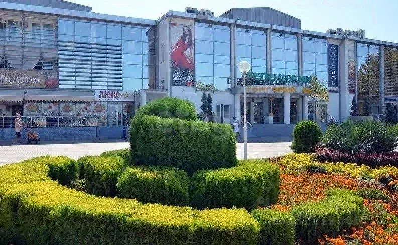 Офис в Краснодарский край, Геленджик ул. Ленина, 1 (14 м) - Фото 1