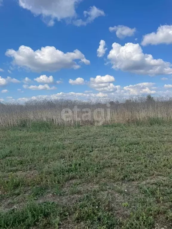 Участок в Ростовская область, Кагальницкая ст-ца  (6.16 сот.) - Фото 0