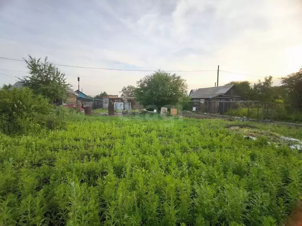 Участок в Красноярский край, Красноярск Химик СТ, ул. Грушевая (5.81 ... - Фото 2