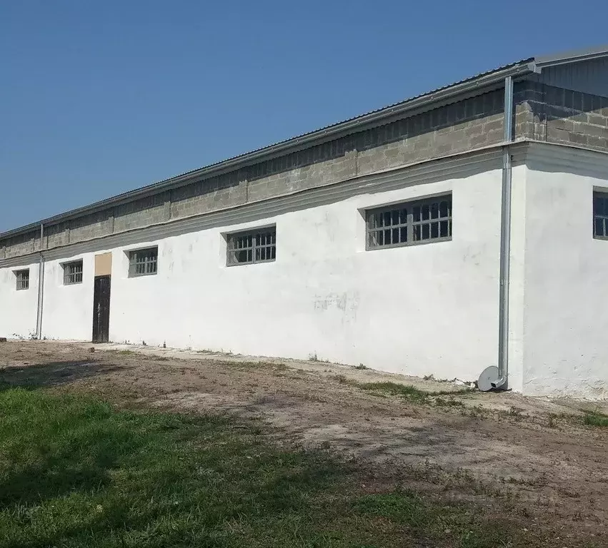 Помещение свободного назначения в Краснодарский край, Динской район, ... - Фото 2