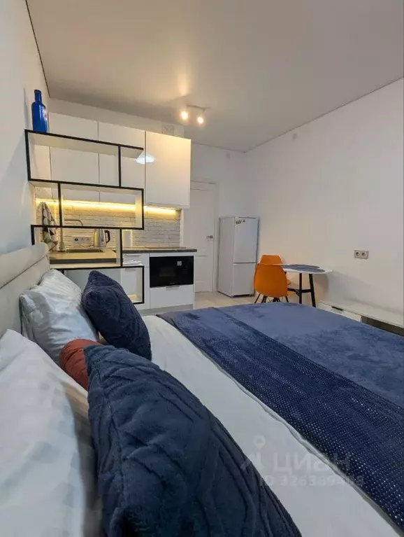 Студия Санкт-Петербург Дальневосточный просп., 19к1 (24.0 м) - Фото 1