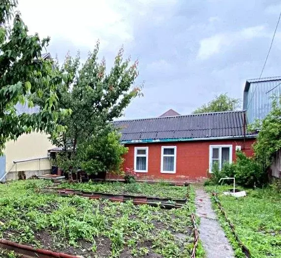 Дом в Краснодарский край, Армавир ул. Мира, 465 (45 м) - Фото 0