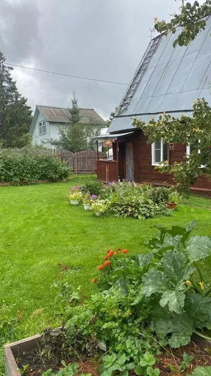 Дом в Новосибирская область, Тогучинский район, Родничок садовое ... - Фото 0