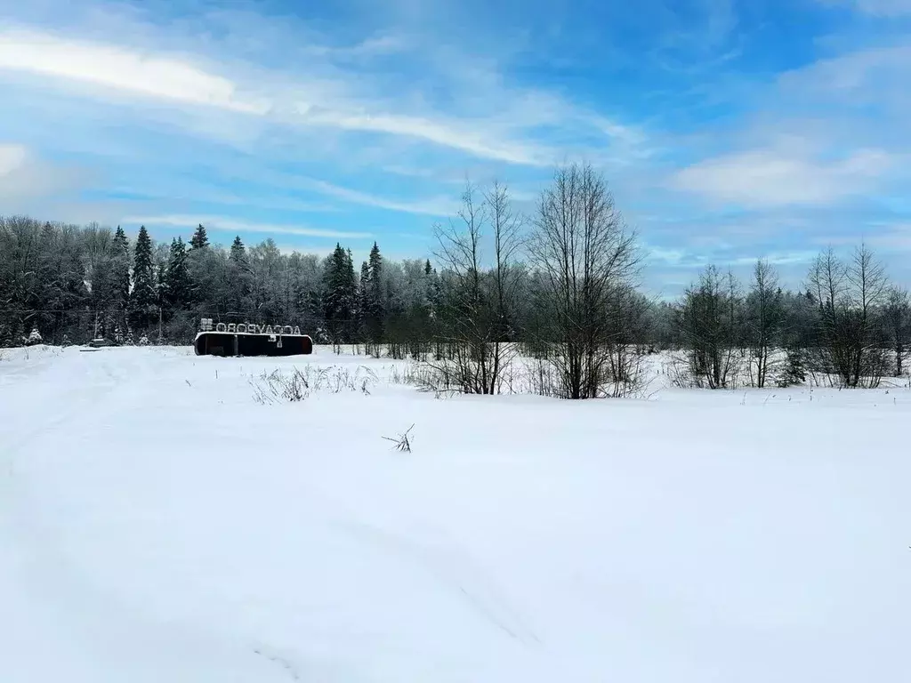 Участок в Московская область, Дмитровский муниципальный округ, ... - Фото 1
