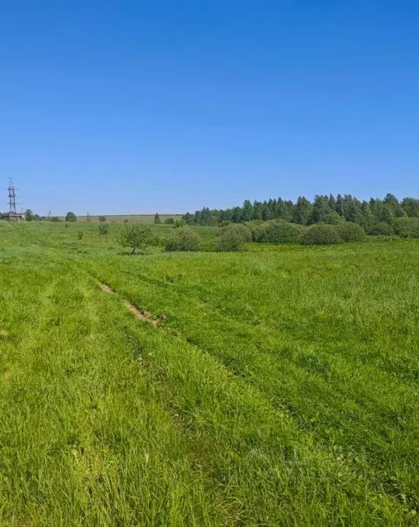 Участок в Московская область, Рузский муниципальный округ, д. Орешки  ... - Фото 1