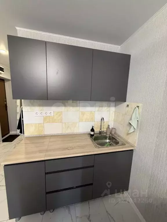 Студия Саратовская область, Энгельсский район, Красноярское ... - Фото 2