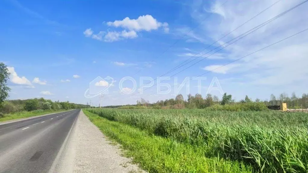 Участок в Тюменская область, Тюмень Велижанский тракт, 9-й км (290.0 ... - Фото 1