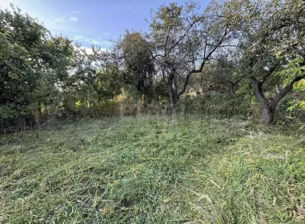 Участок в Брянская область, Брянск Природа садоводческое объединение,  ... - Фото 1