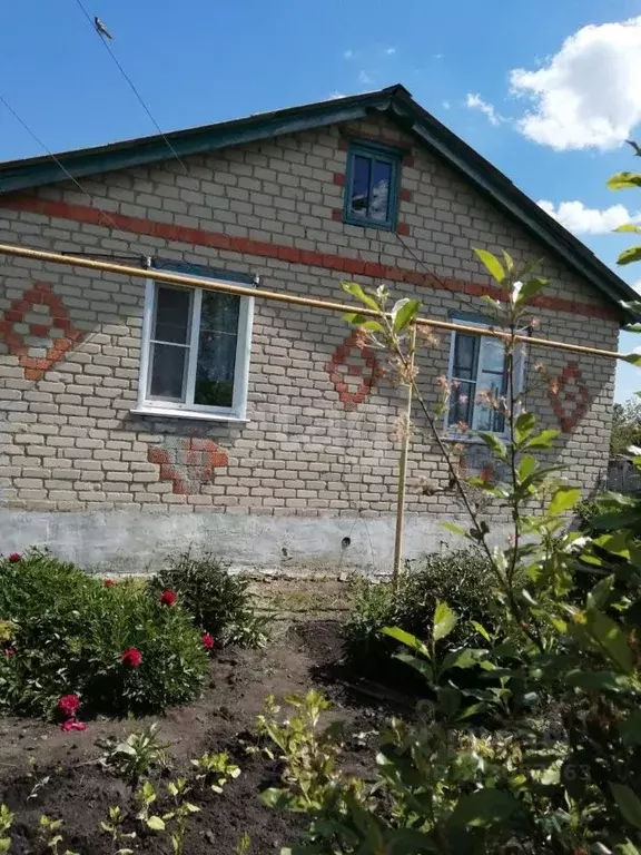 Дом в Мордовия, Ичалковский район, с. Оброчное ул. Ленина, 159 (81 м) - Фото 0