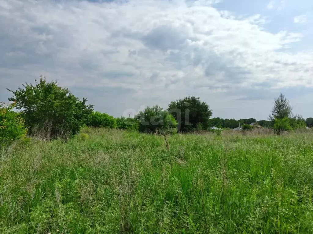 Участок в Амурская область, Благовещенский район, с. Новотроицкое  ... - Фото 1