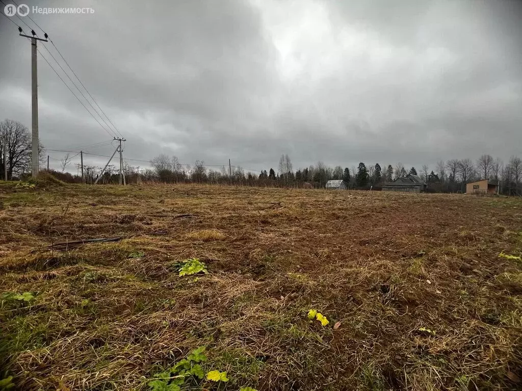 Участок в Волховский район, Хваловское сельское поселение, деревня ... - Фото 2
