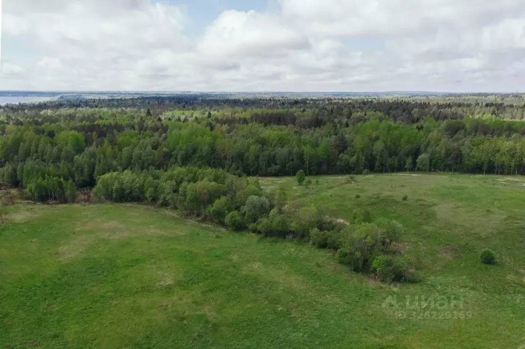 Участок в Ленинградская область, Всеволожский район, Лесколовское ... - Фото 2