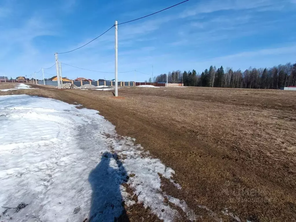 Участок в Пермский край, Пермский муниципальный округ, д. Загришинское ... - Фото 2