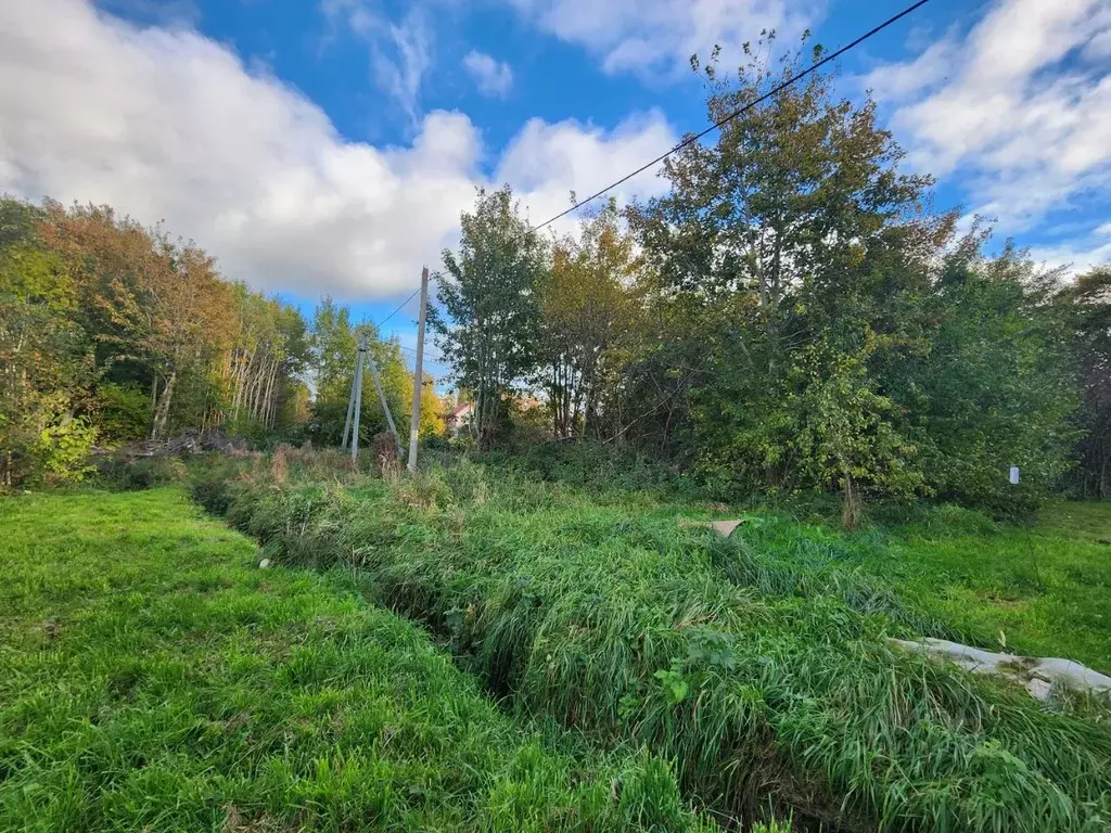 Участок в Калининградская область, Светлогорский городской округ, пос. ... - Фото 2