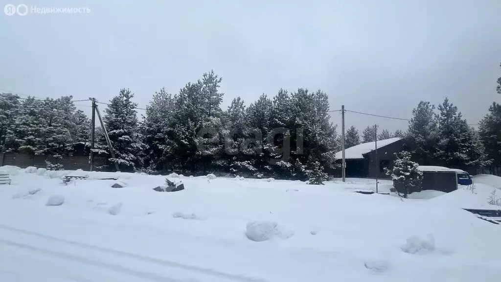 Участок в Рамонский район, Новоживотинновское сельское поселение, ... - Фото 2