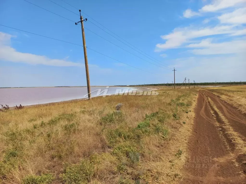 Участок в Крым, Сакский район, с. Лесновка  (50.0 сот.) - Фото 1