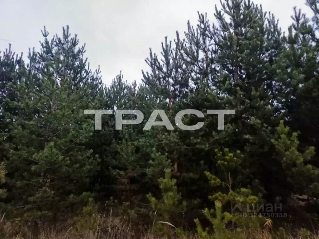 Участок в Воронежская область, Рамонский район, Новоживотинновское ... - Фото 1