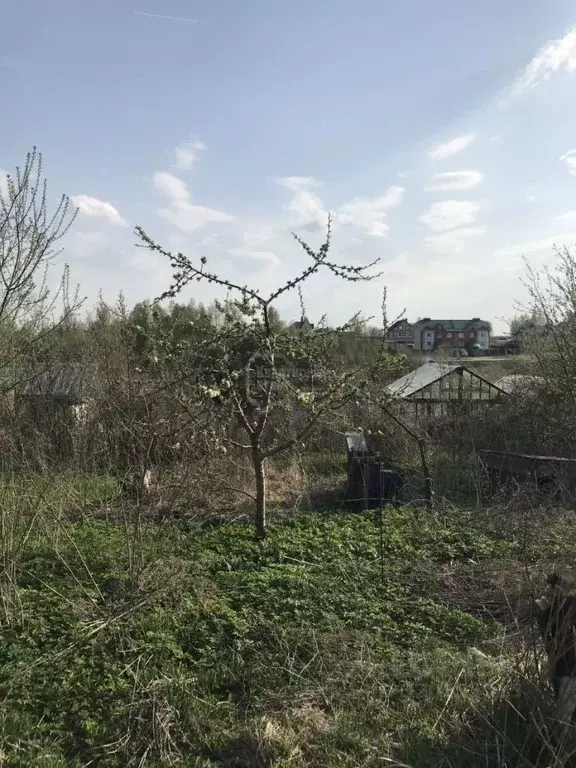 Участок в Владимирская область, Суздальский район, Боголюбовское ... - Фото 0