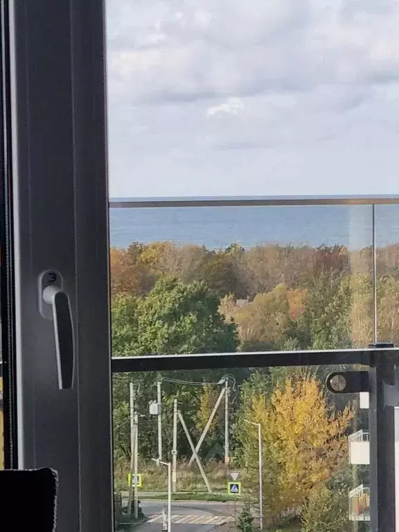 1-к кв. Калининградская область, Светлогорск Дачная ул., 6 (31.0 м) - Фото 1