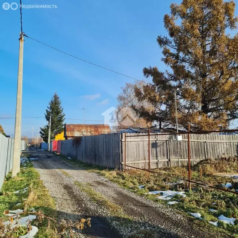 Участок в Новосибирск, СТ Сибиряк Пашинский, 217 (6.58 м) - Фото 0