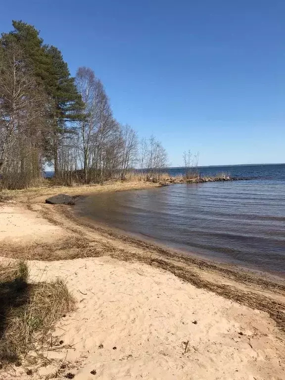 1-к кв. Карелия, Медвежьегорское городское поселение, пос. Лавас-Губа ... - Фото 1