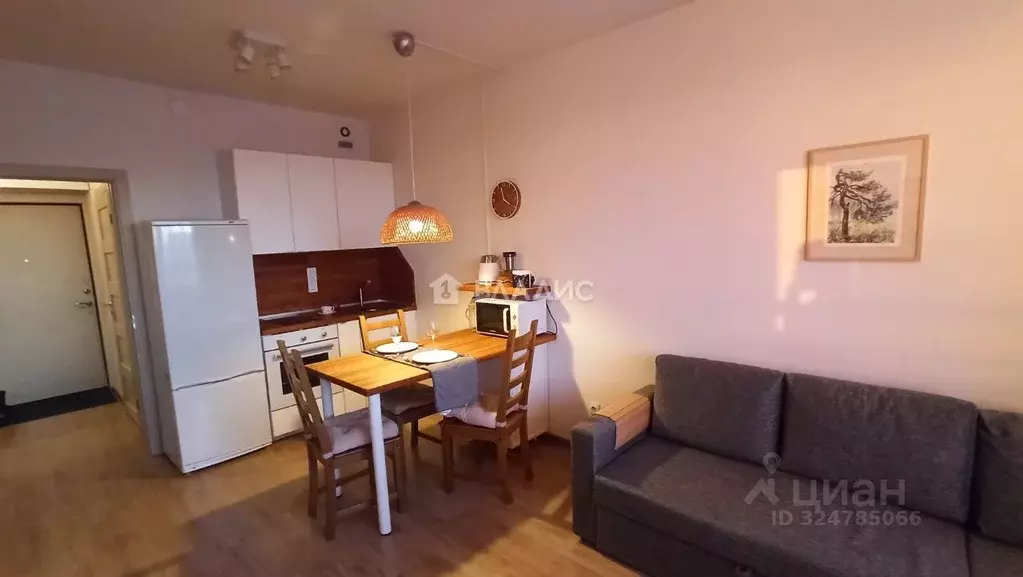 Студия Санкт-Петербург Кондратьевский просп., 68к4 (24.7 м) - Фото 2