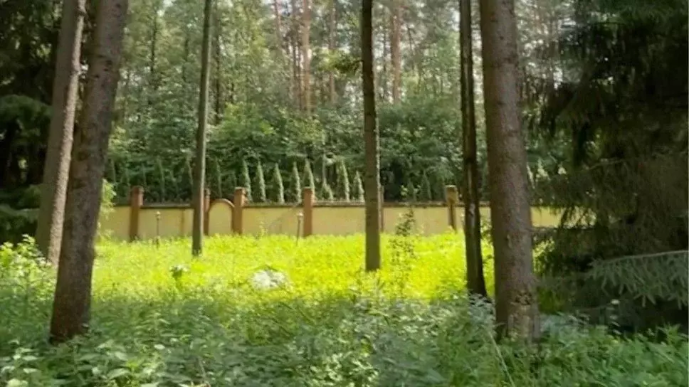 Участок в Московская область, Одинцовский городской округ, д. Бородки, ... - Фото 1