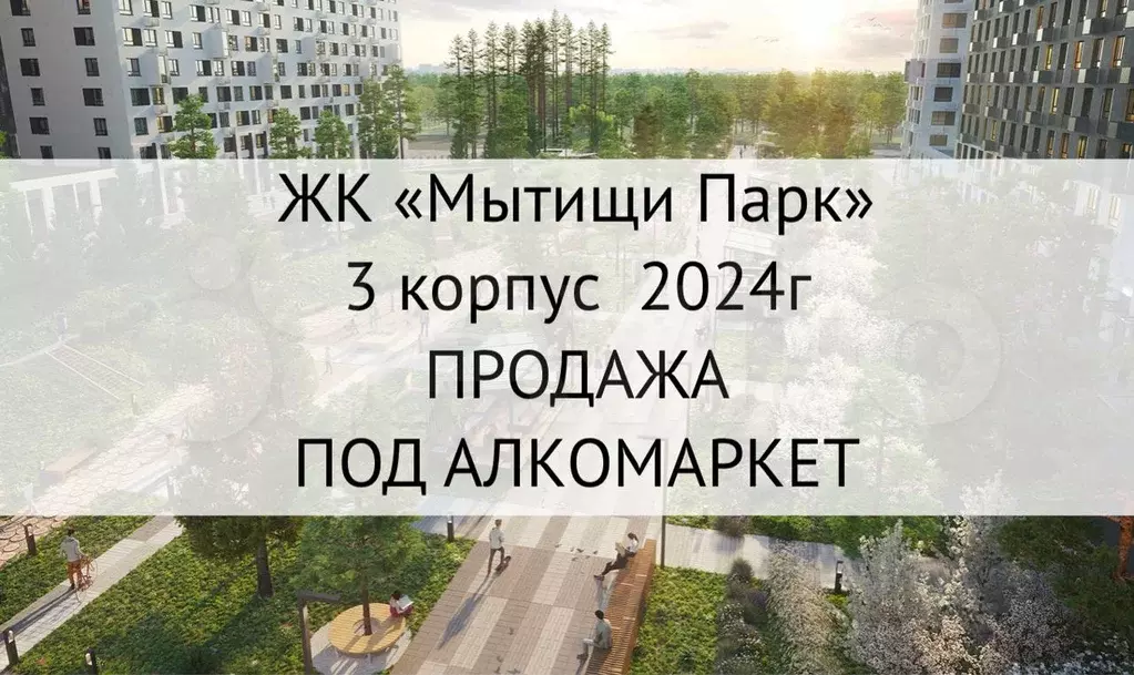 Сонко срок сдачи в 2024