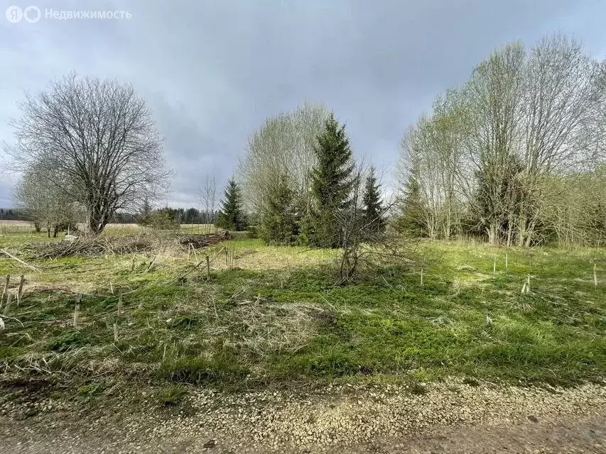 Участок в Волосовский район, Бегуницкое сельское поселение, деревня ... - Фото 0