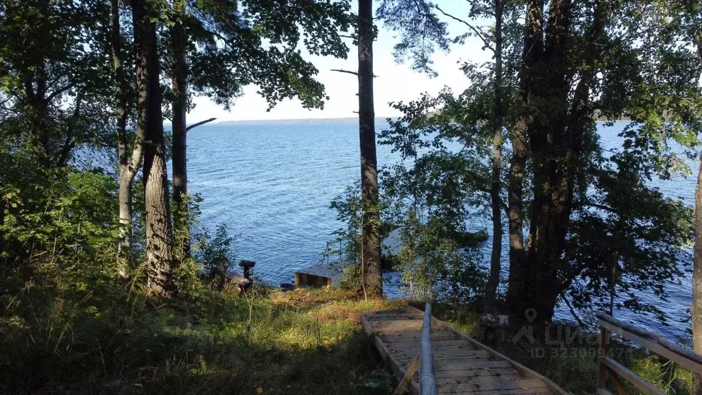 Участок в Ленинградская область, Приозерский район, Громовское с/пос, ... - Фото 1