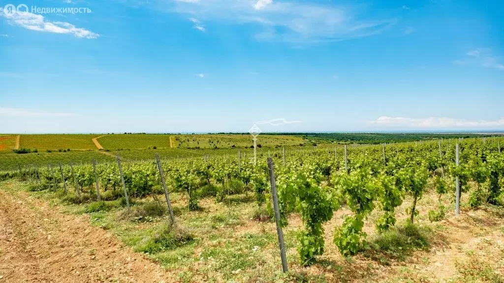 Участок в Севастополь (500 м) - Фото 1