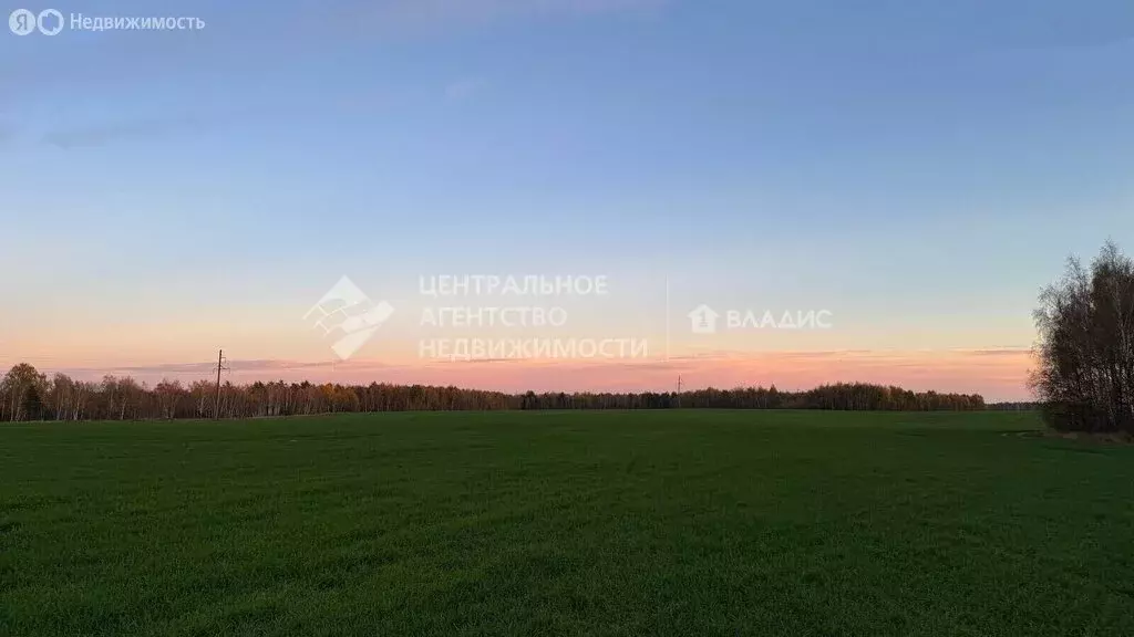 Участок в Рязанский район, Мурминское сельское поселение, село Сёмкино ... - Фото 1