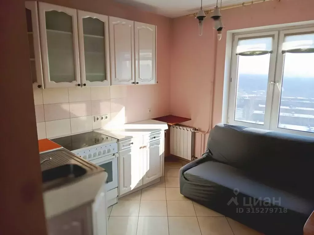 1-к кв. Московская область, Балашиха Кучино мкр, ул. Смельчак, 17 ... - Фото 0