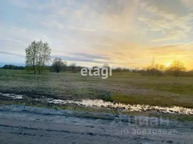 Участок в Вологодская область, Череповецкий район, Тоншаловское с/пос  ... - Фото 1