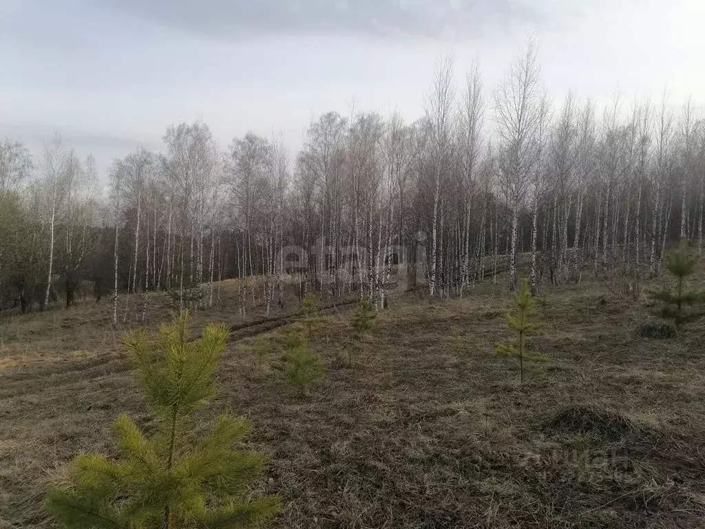Участок в Томская область, Томский район, с. Корнилово, Красная горка ... - Фото 1