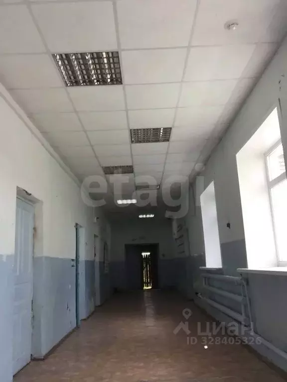Помещение свободного назначения в Курганская область, с. Альменево ул. ... - Фото 1