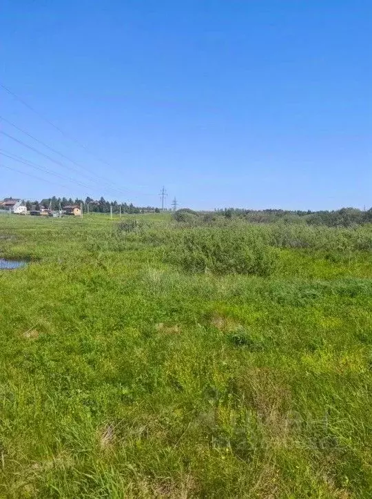 Участок в Московская область, Рузский муниципальный округ, д. Орешки  ... - Фото 1
