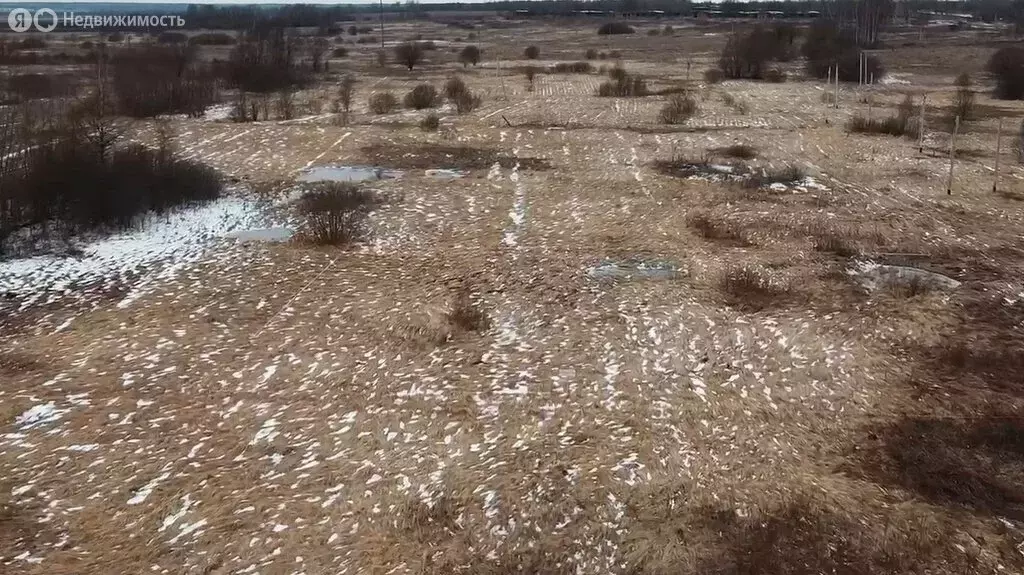 Участок в Московская область, Можайский муниципальный округ, посёлок ... - Фото 2