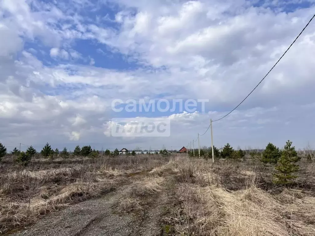 Участок в Липецкая область, Задонский муниципальный округ, с. Казино  ... - Фото 2