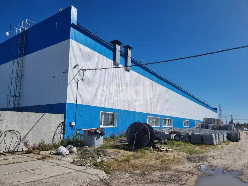 Склад в Ямало-Ненецкий АО, Новый Уренгой Энергетик мкр,  (3435 м) - Фото 2