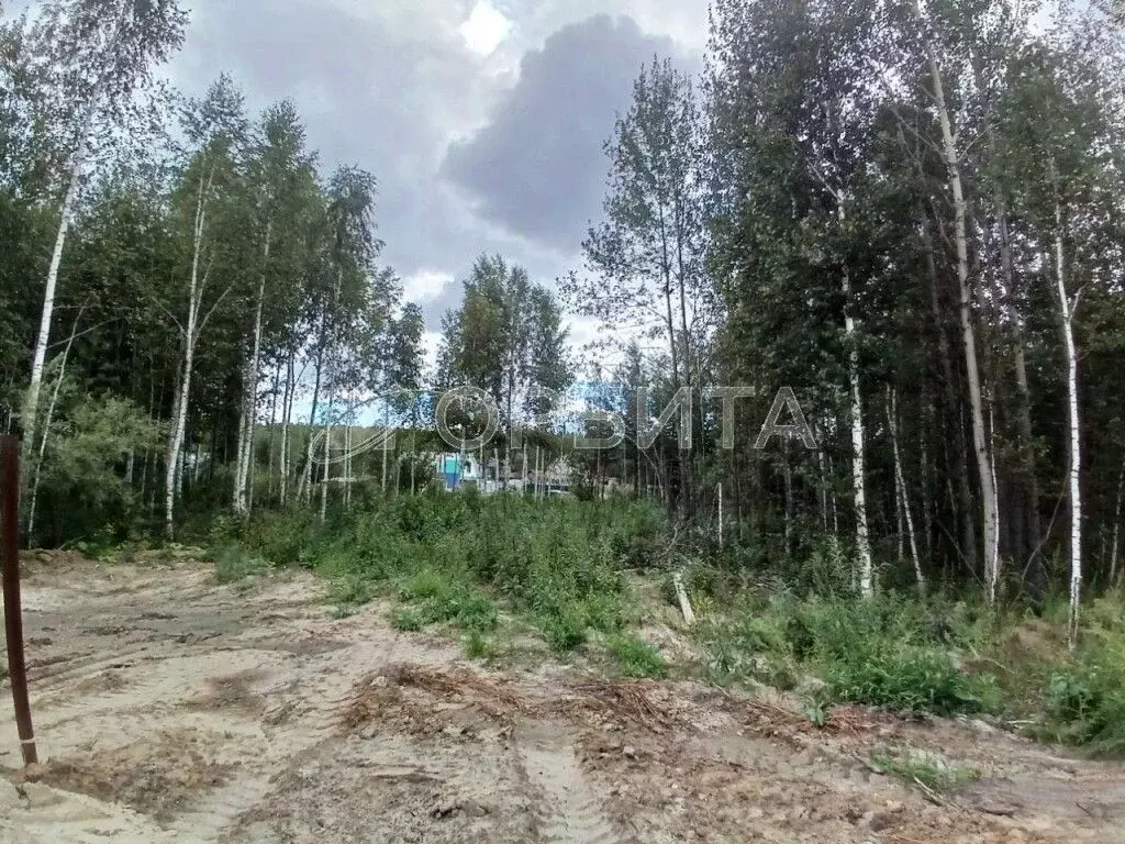 Участок в Тюменская область, Тюмень Медик СНТ, ул. Сливовая (6.9 сот.) - Фото 1