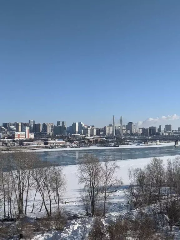 Студия Новосибирская область, Новосибирск ул. Ясный Берег, 43 (22.0 м) - Фото 1