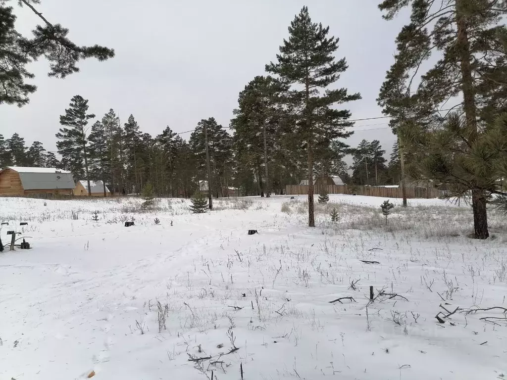 Участок в Бурятия, Улан-Удэ Лоза ДНТ,  (8.0 сот.) - Фото 1