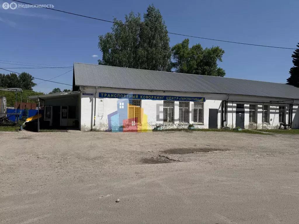 Офис (150.3 м) - Фото 2